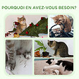 PAWHUT - Arbre à chat 2 griffoirs jute naturelle panier jeu 2 boules suspendues avec clochettes peluche blanche - vignette