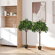 OUTSUNNY - Lauriers artificiels topiaires 1,20H m - lot de 2 lauriers boules artificiels - 741 feuilles réalistes par pied - tronc liane - pot inclus noir vert - vignette