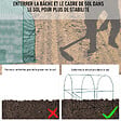 OUTSUNNY - Serre de jardin tunnel 5 m² 2,45L x 2l x 1,98H m acier renforcé Ø 1,8 cm + PE haute densité 140 g/m² fenêtres porte déroulante vert - vignette