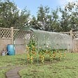 OUTSUNNY - Serre de jardin serre à tomates dim. 4L x 1,23l x 1,71H m acier thermolaqué vert PVC haute densité transparent - vignette