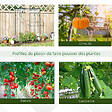 OUTSUNNY - Serre de Jardin serre à tomates 1L x 0,5l x 1,5H m porte zippée déroulante acier thermolaqué PVC haute densité 140 g/m² anti-UV - vignette
