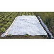 WERKAPRO - Voile d'hivernage blanc 60g-m2  2 x 5m - vignette