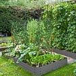 OUTSUNNY - Carré potager de jardin avec tuteur modulable acier vert foncé - tôle d'acier ondulée gris clair - vignette