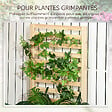 OUTSUNNY - Lot de 2 jardinières avec treillis - ensemble de 2 carrés potagers - bois de sapin pré-huilé - vignette