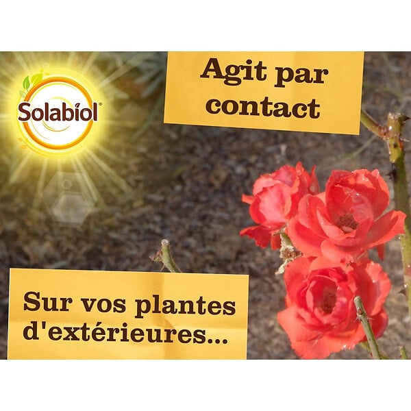 SOLABIOL - Anti pucerons prêt à l'emploi 750ml - large
