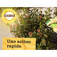 SOLABIOL - Anti pucerons prêt à l'emploi 750ml - vignette