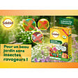 SOLABIOL - Insecricide polyvalent concentré 100 ML - vignette
