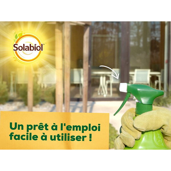SOLABIOL - Pyrale du buis 750ml - large