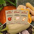 ASSOCIATION KOKOPELLI - Courges à petits fruits - 3 sachets de graines bio à semer - vignette