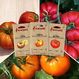 ASSOCIATION KOKOPELLI - Tomates pour salade - 3 sachets de graines bio à semer - vignette
