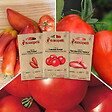 ASSOCIATION KOKOPELLI - Tomates pour coulis - 3 sachets de graines bio à semer - vignette