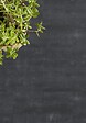 TARKETT - Revêtement de sol clipsable Starfloor Resist Acoustic 30 - Composite Black - vignette