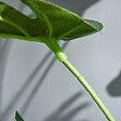 OUTSUNNY - Arbre artificiel plante artificielle Monstera H. 100 cm tronc branches lichen feuilles de tortue grand réalisme pot inclus - vignette