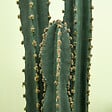 OUTSUNNY - Cactus artificiel grand réalisme plante artificielle grande taille dim. à˜ 18 x 120H cm vert - vignette