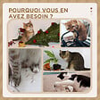 PAWHUT - Arbre à chat style cosy chic griffoirs boule ressort niche panier 2 coussins inclus quenouille sisal naturel peluche beige - vignette