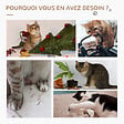 PAWHUT - Arbre à chat style cosy chic fleur - griffoirs, tunnel, plateformes, 4 jeux de boules -  peluche blanche quenouille tressée - vignette