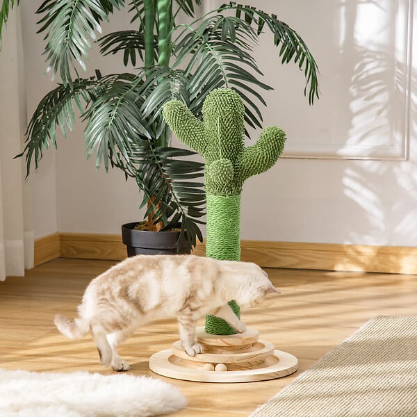 PAWHUT - Griffoir chat design cactus - jouet pompon suspendu, jouet boules - bois de pin sisal vert - large