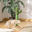 PAWHUT - Griffoir chat design cactus - jouet pompon suspendu, jouet boules - bois de pin sisal vert - vignette