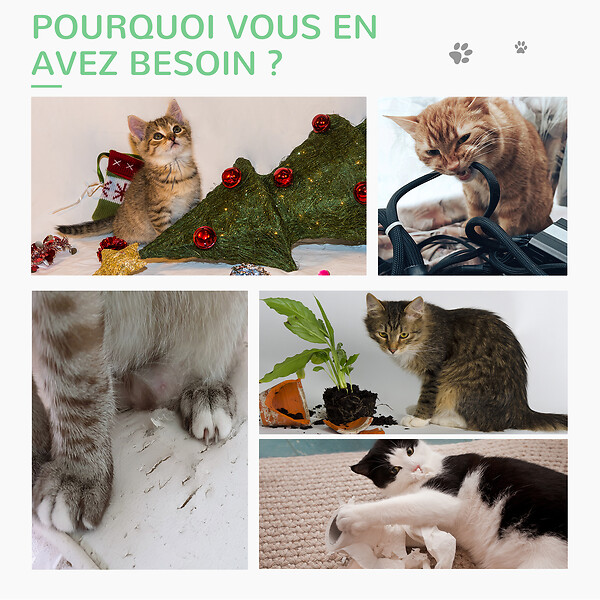 PAWHUT - Griffoir chat design cactus - jouet pompon suspendu, jouet boules - bois de pin sisal vert - large