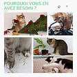 PAWHUT - Griffoir chat design cactus - jouet pompon suspendu, jouet boules - bois de pin sisal vert - vignette