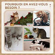 PAWHUT - Arbre à chat griffoir chanvre naturel panier plateforme d'observation jeu boule suspendue bois panneaux peluche gris - vignette
