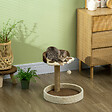 PAWHUT - Arbre à chat griffoir design patte de chat jeu boule suspendue panier plateforme observation peluche beige marron jute naturelle - vignette