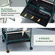 PAWHUT - Grande cage à oiseaux sur pied à roulettes - volière double, mangeoires, perchoirs, plateau amovible - vert noir - vignette