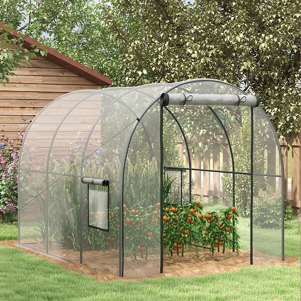 OUTSUNNY - Serre tunnel serre à tomates surface sol 6 m² 3L x 2l x 2H m - large