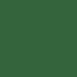 NUANCE - Peinture XTREM bois satin vert jardin RAL 6002 0.5L - vignette