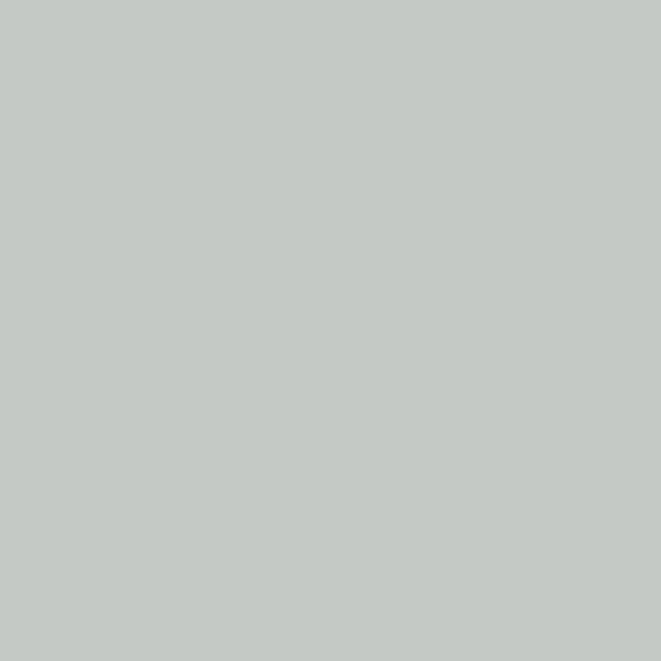 NUANCE - Peinture XTREM multi supports satin gris clair RAL 7035 0.125ML - large