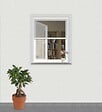 WINDHAGER - Enrouleur moustiquaire fenêtre PVC Basic - Blanc - 130x160cm - vignette