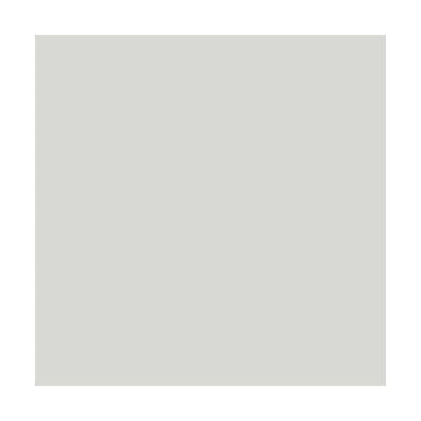 ARCANE INDUSTRIES - PEINTURE ARGILE naturelle et saine - ARGILIS - Lemurien Gris Clair - 15 m² (2.5 kg en 1 couche) - ARCANE INDUSTRIES - large