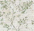 AS CREATION - pv/int estampe vert fd beige - vignette