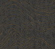 AS CREATION - Papier peint intissé Okusai - Noir et or - L.10xl.0.53m - vignette