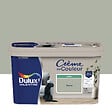 DULUX VALENTINE - Peinture multi-supports Crème de Couleur Saule Satin 2,5L - vignette