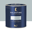 DULUX VALENTINE - Peinture murs&boiseries Valentine  Mat Velouté Myosotis Timide 0,5 L - vignette