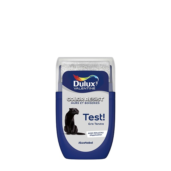 DULUX VALENTINE - Testeur Dulux Valentine Color Resist Mur et Boiserie Gris Tendre 0,03L - large