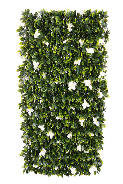 IDEAL GARD - Treillis feuille jasmin osier vert, H.1 x L.2 m - large