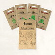 ASSOCIATION KOKOPELLI - Herbes aromatiques - 4 sachets de graines bio à semer - vignette