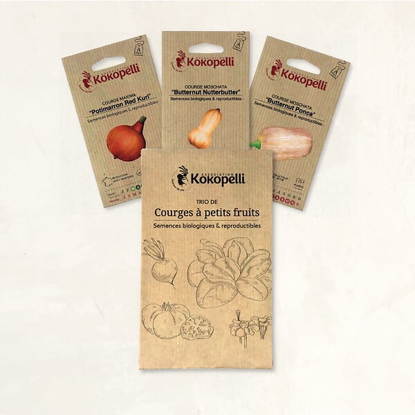 ASSOCIATION KOKOPELLI - Courges à petits fruits - 3 sachets de graines bio à semer - large