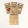 ASSOCIATION KOKOPELLI - Courges à petits fruits - 3 sachets de graines bio à semer - vignette