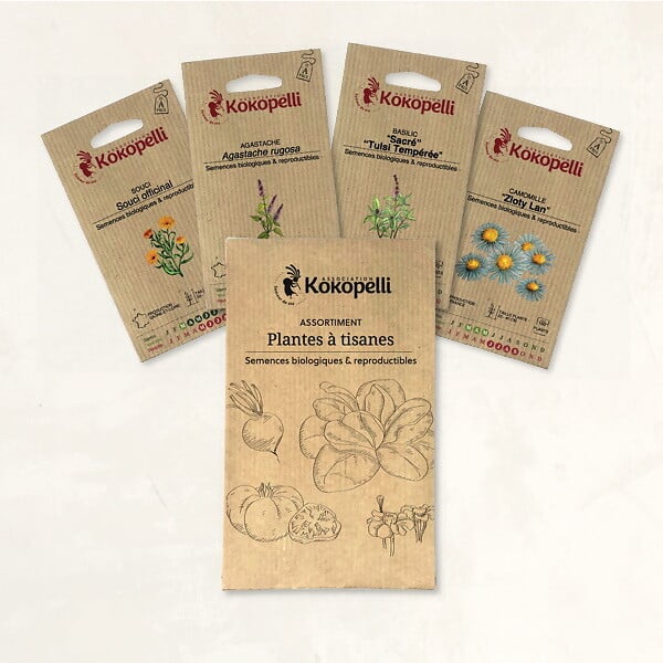 ASSOCIATION KOKOPELLI - Plantes à tisanes - 4 sachets de graines bio à semer - large