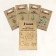 ASSOCIATION KOKOPELLI - Plantes à tisanes - 4 sachets de graines bio à semer - vignette