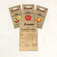 ASSOCIATION KOKOPELLI - Tomates pour salade - 3 sachets de graines bio à semer - vignette