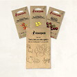 ASSOCIATION KOKOPELLI - Tomates-cerise apéro - 3 sachets de graines bio à semer - vignette