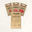 ASSOCIATION KOKOPELLI - Tomates pour coulis - 3 sachets de graines bio à semer - vignette