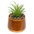 ATMOSPHERA - Plante artificielle en pot céramique - 12cm - vignette