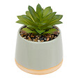 ATMOSPHERA - Plante artificielle en pot céramique - 12cm - vignette