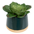 ATMOSPHERA - Plante artificielle en pot céramique - 12cm - vignette