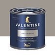 DULUX VALENTINE - Peinture murs boiseries Mat Velouté - Gris Chimère - 0,125L - vignette